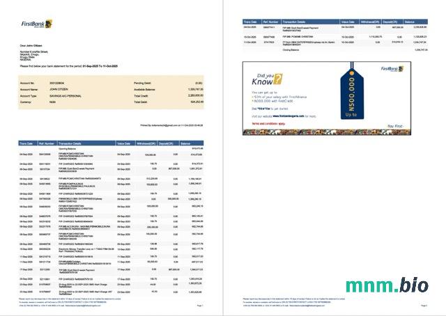 Szablon wyciągu bankowego Nigeria Fidelity w programie Word i PDF